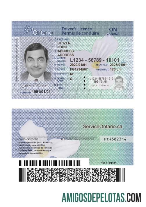 Canadá Ontario DL (2018 – presente) Versão 2 baixar para verificação